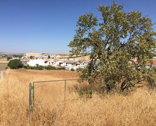Residential for sale in Pedro Abad