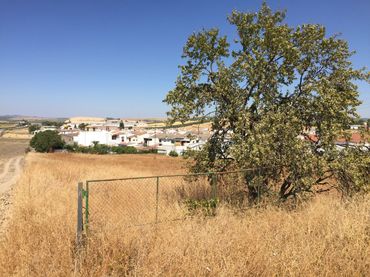 Terreny residencial en venda a Pedro Abad
