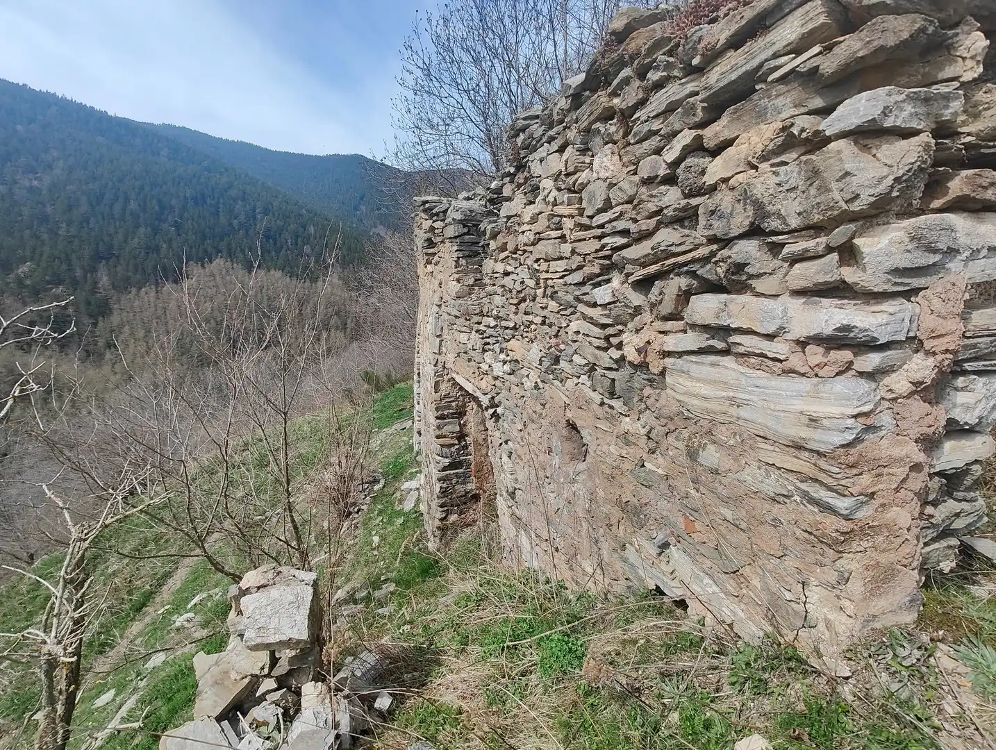 Vista exterior de Finca rústica en venta en Molló con Jardín privado y Balcón