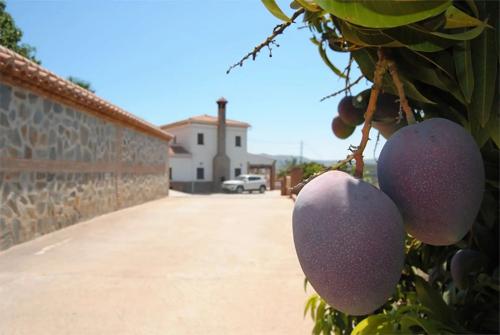 Vista exterior de Casa o chalet en venta en Vélez-Málaga con Aire acondicionado, Jardín privado y Terraza