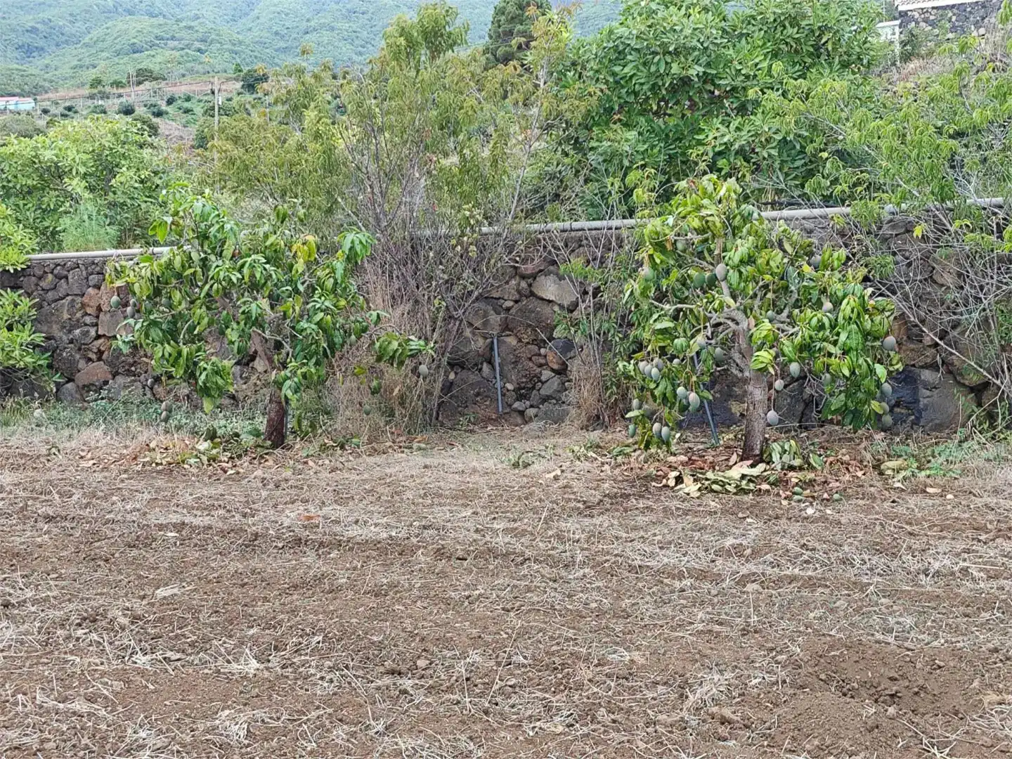 Casa o chalet en venta en Breña Alta con Jardín privado, Trastero y Amueblado