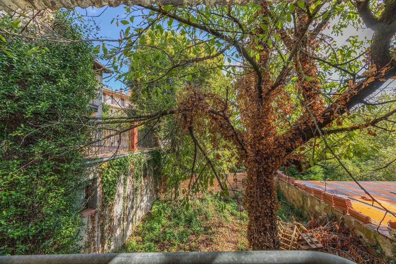 Casa rustica in vendita a Santa Pau, imagen 23
