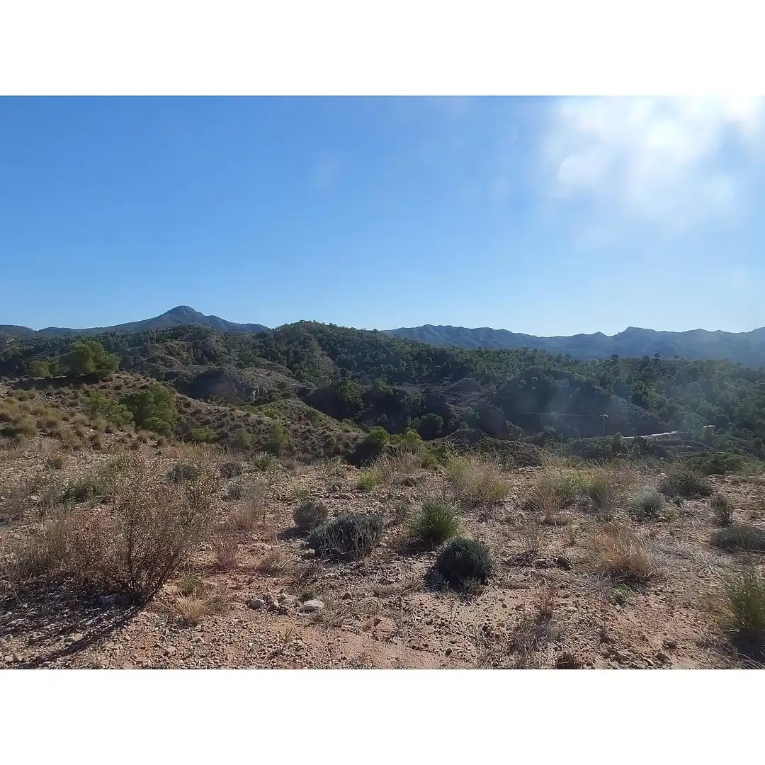 Lands and plots for sale in Abanilla, imagen 13