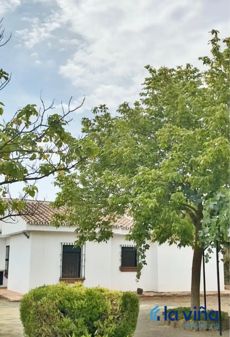 Chalet con piscina en venta en Villanueva del Rosario, imagen 25