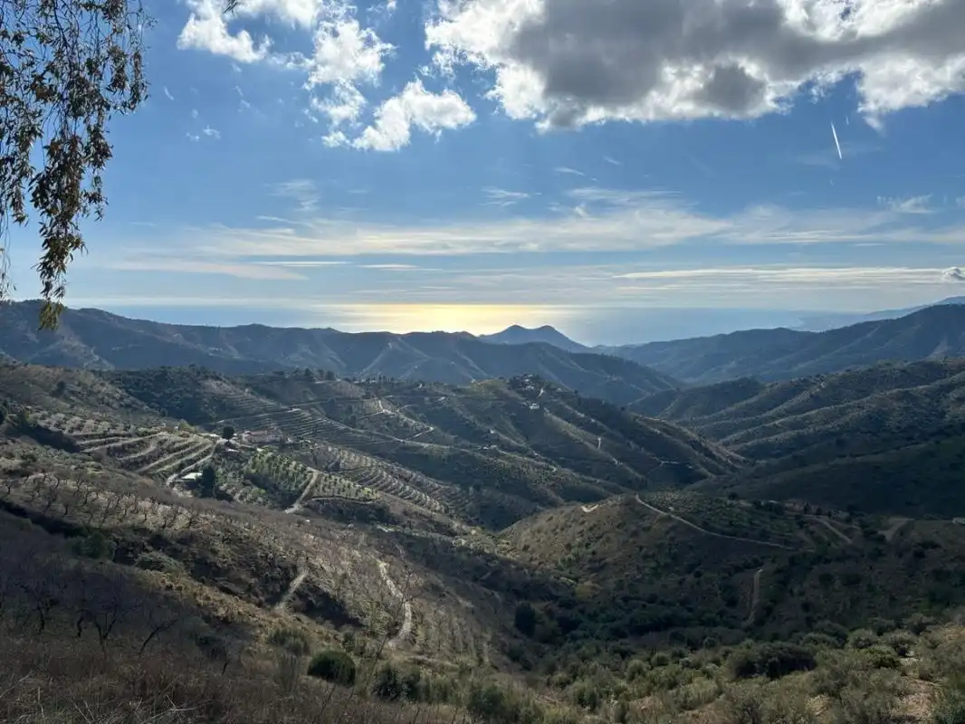 Terreni e lotti in vendita a Cam. Altos de Jaboneros, imagen 16