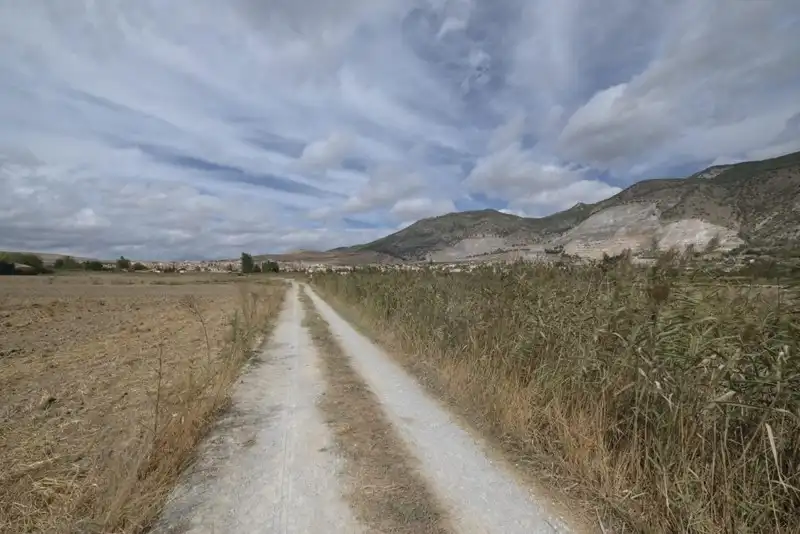 Terreni e lotti in vendita a Padul, imagen 6