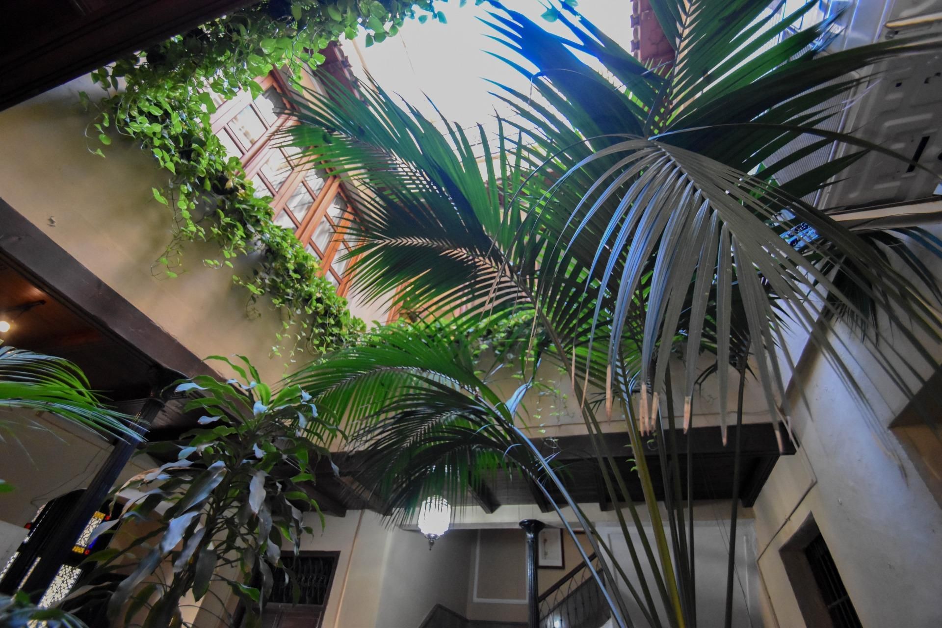 Gebaude zum Verkauf in  CONSTITUCION, DE LA, Almuñecar Centro