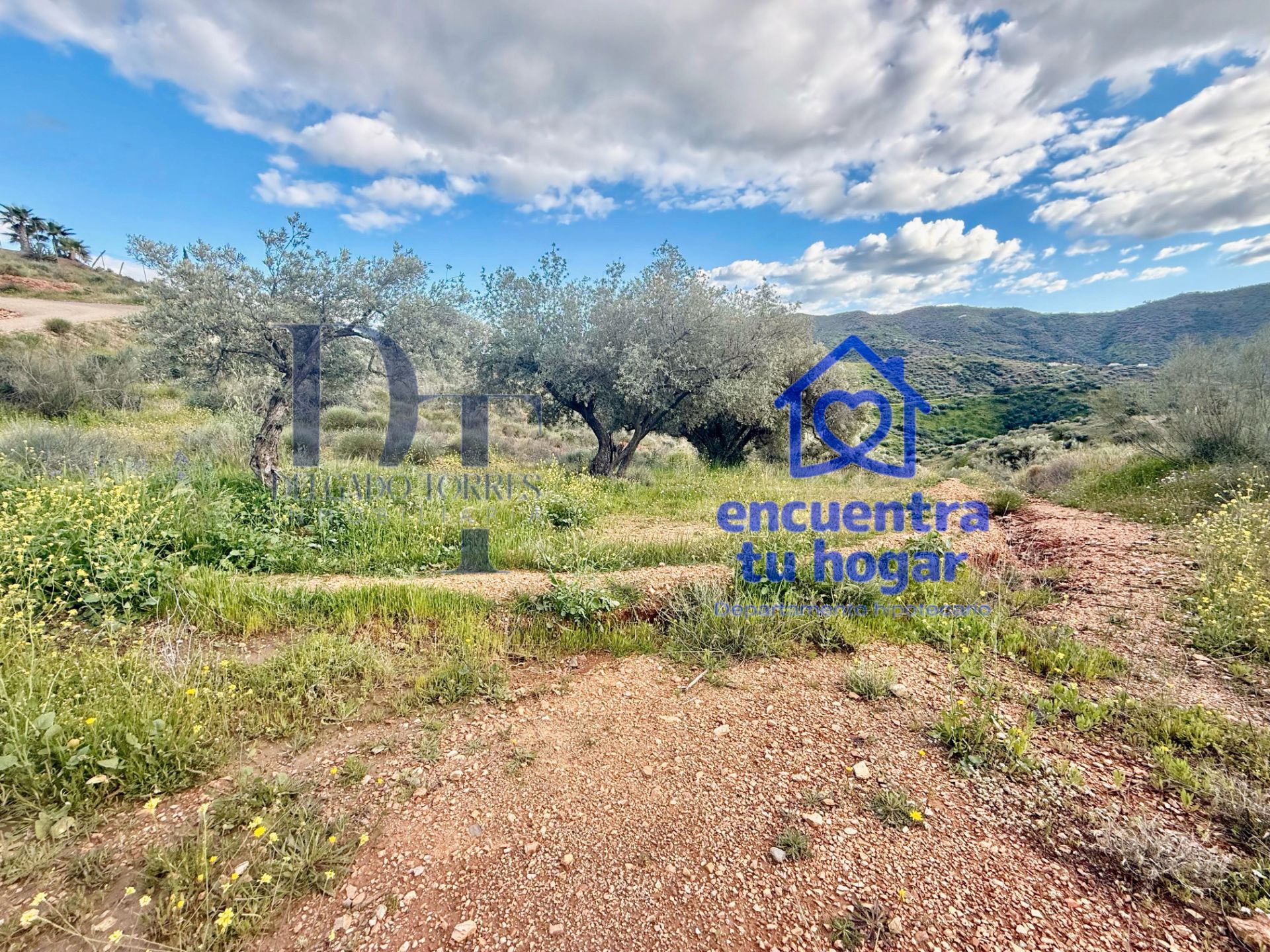 Land for sale in Sedella