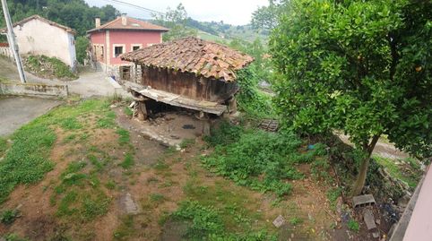 Foto 5 de Finca rústica en venda a Parres, Asturias