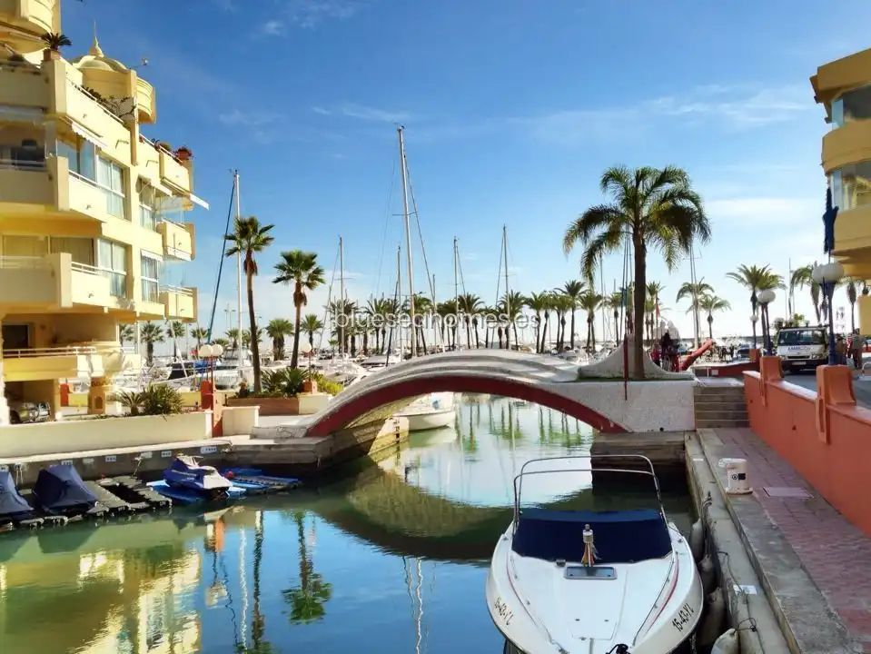 Estudio con piscina en venta en Avenida MANUEL MENA PALMA Edif. Maite III, imagen 30