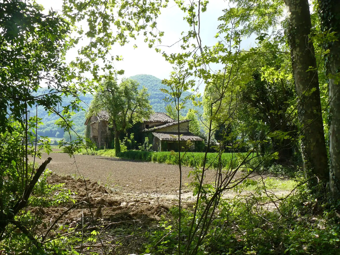Jardín de Finca rústica en venta en Les Preses