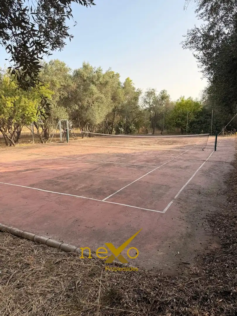 Chalet con terraza en venta en Carmona, imagen 32