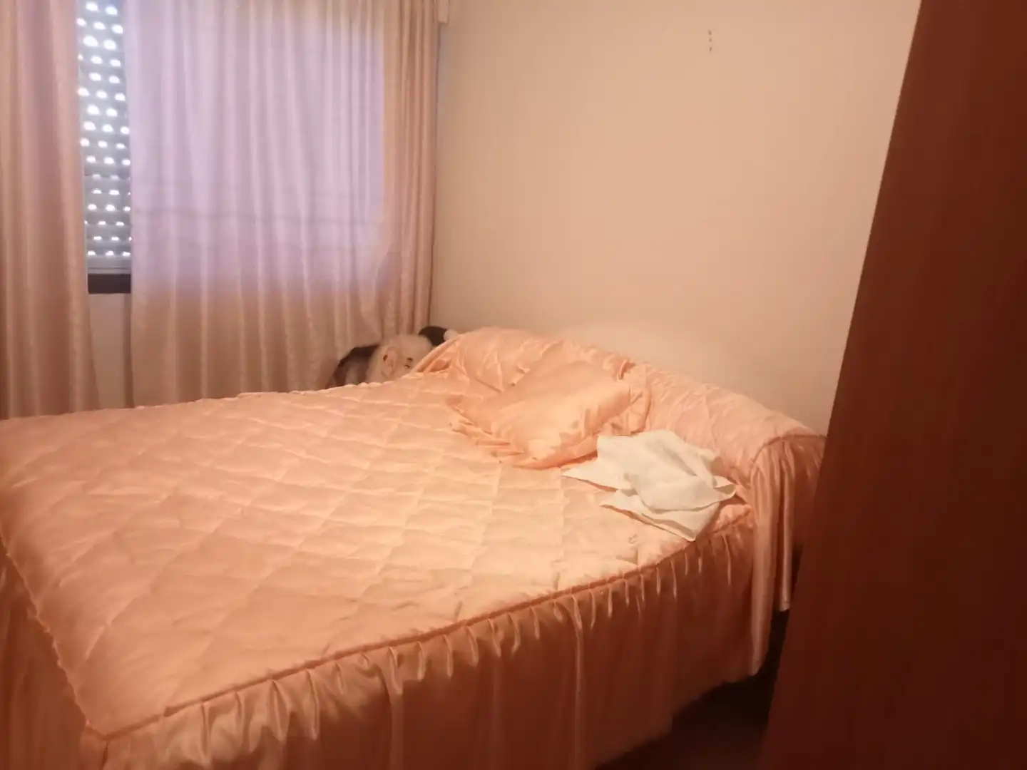 Maison avec jardin à vendre à Calle Murillo, imagen 15