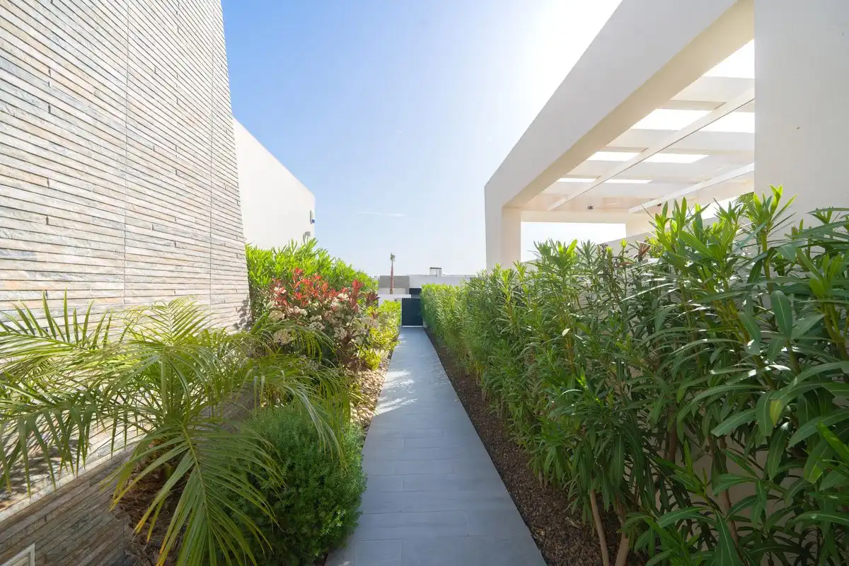 Maison avec terrasse à vendre à Calle Daya Nueva, imagen 38