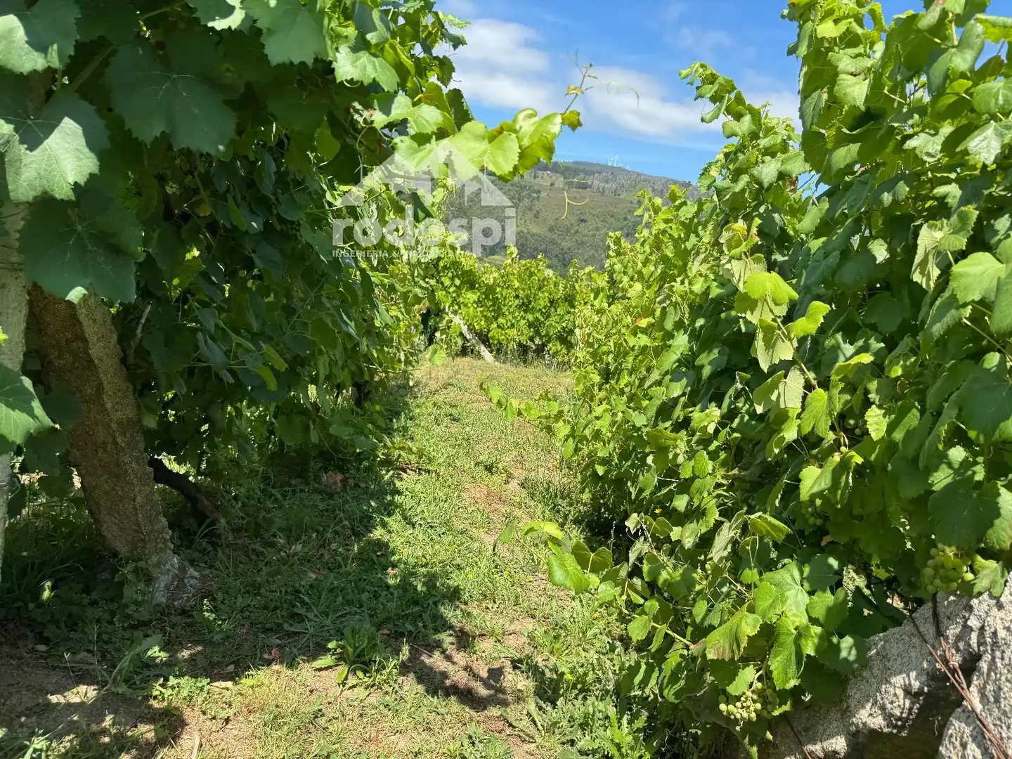 Casa o xalet en venda en Arbo amb Moblat