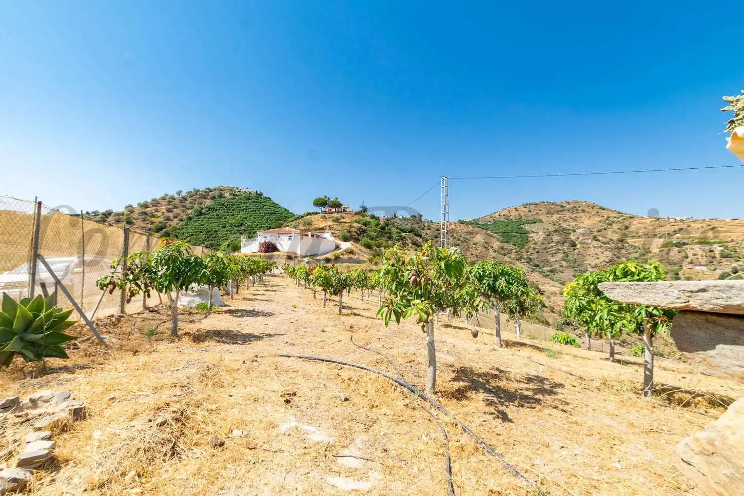 Casa con piscina in vendita a Torrox Pueblo, imagen 19