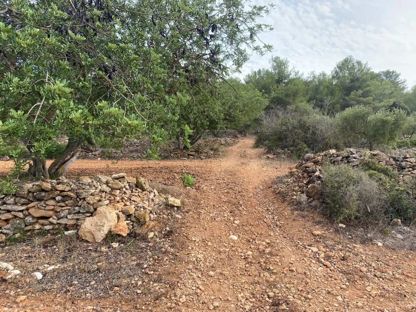 Terrain rustique à vendre à Carrer Camí de Montferri, imagen 7