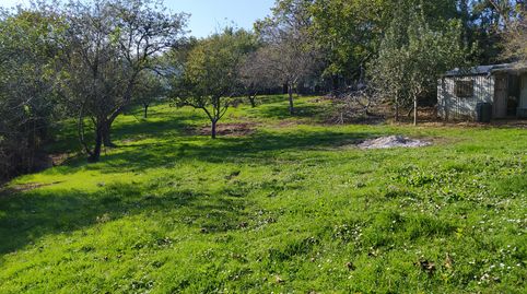 Foto 5 de Residencial en venda a Camín de Llinares, Lavandera, Gijón