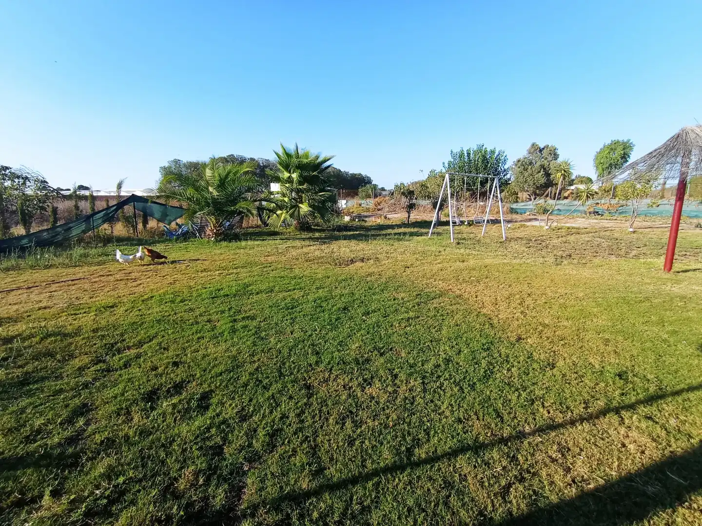 Finca rústica en venda en Chipiona amb Calefacció