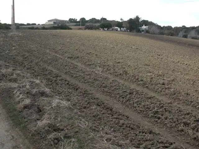 Rustikales Grundstück zum Verkauf in Vejer, imagen 4