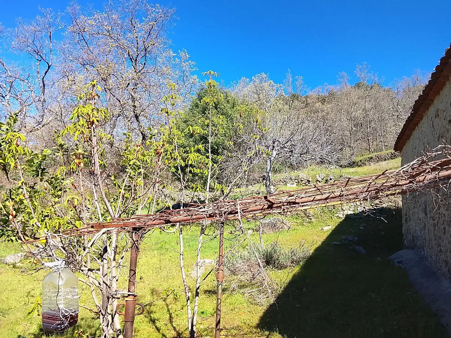 Terreni e lotti in vendita a Candeleda, imagen 47