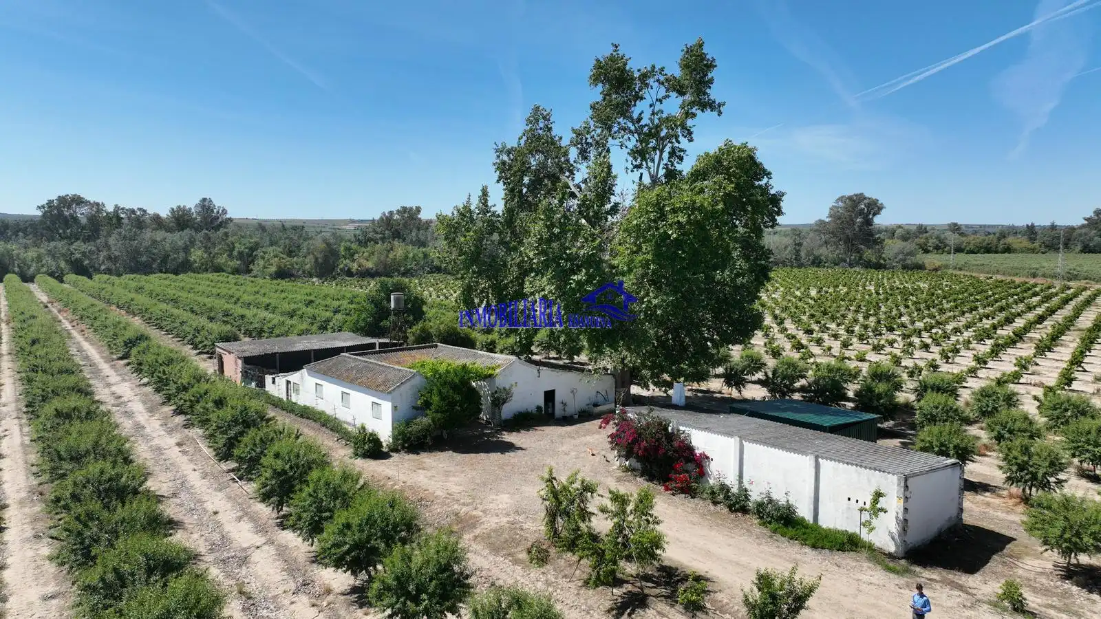 Casa rústica en venta en Almodóvar del Río