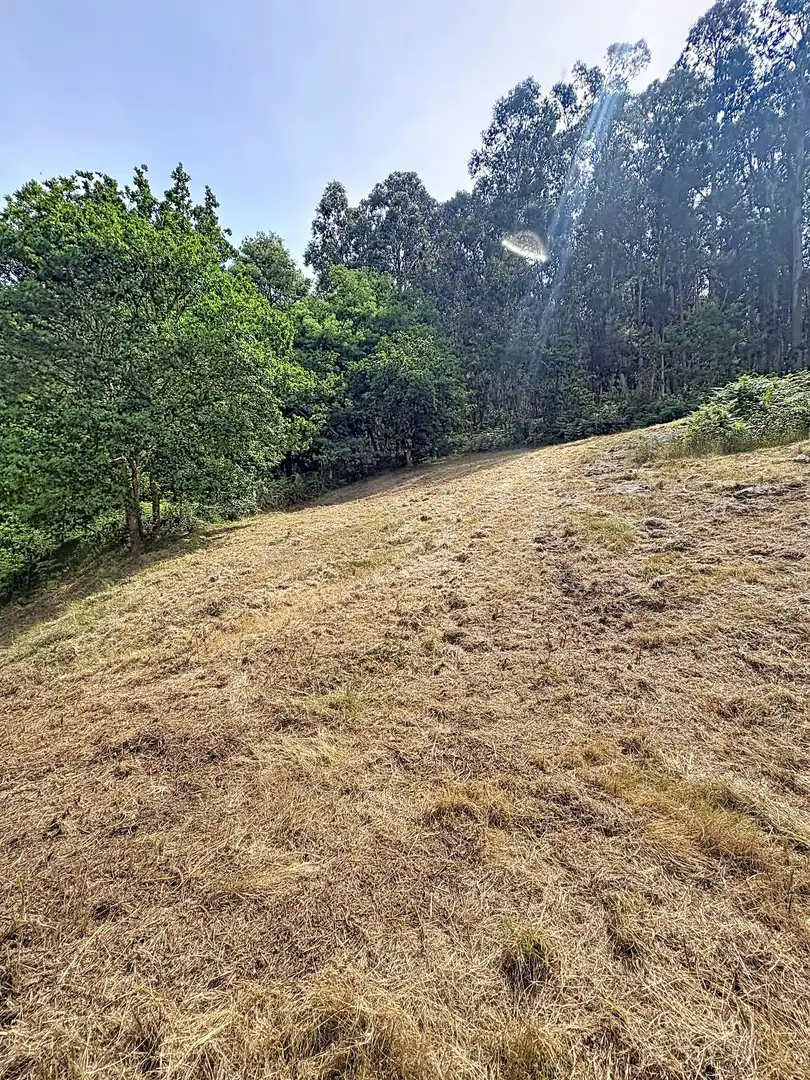 Grundstücke und Bauplätze zum Verkauf in San Xoán de Poio, imagen 9