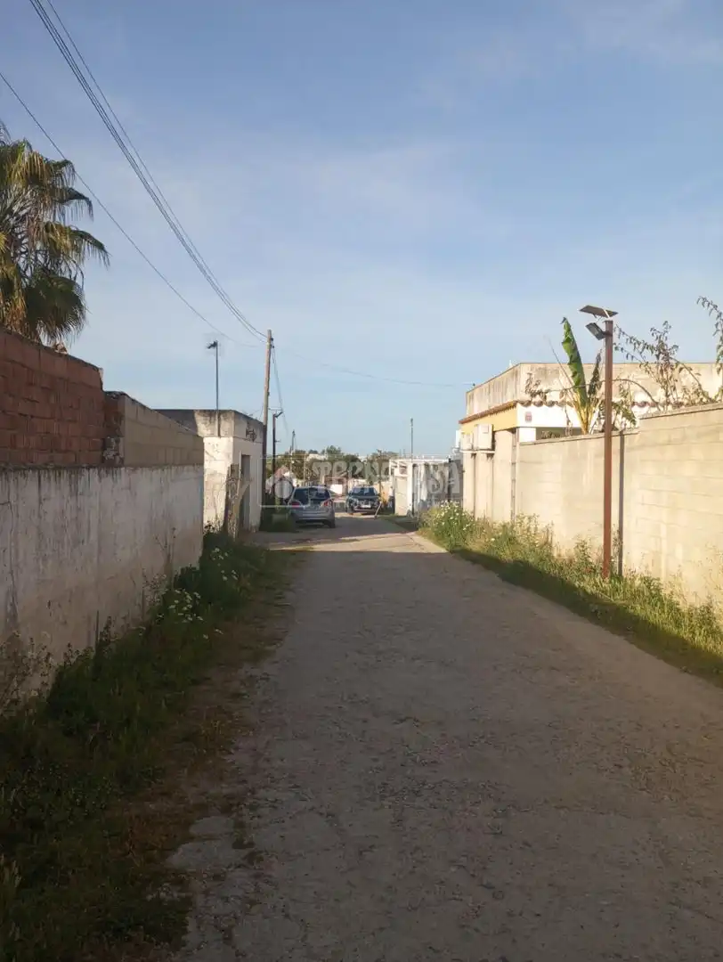 Finca rústica en venta en Coria del Río