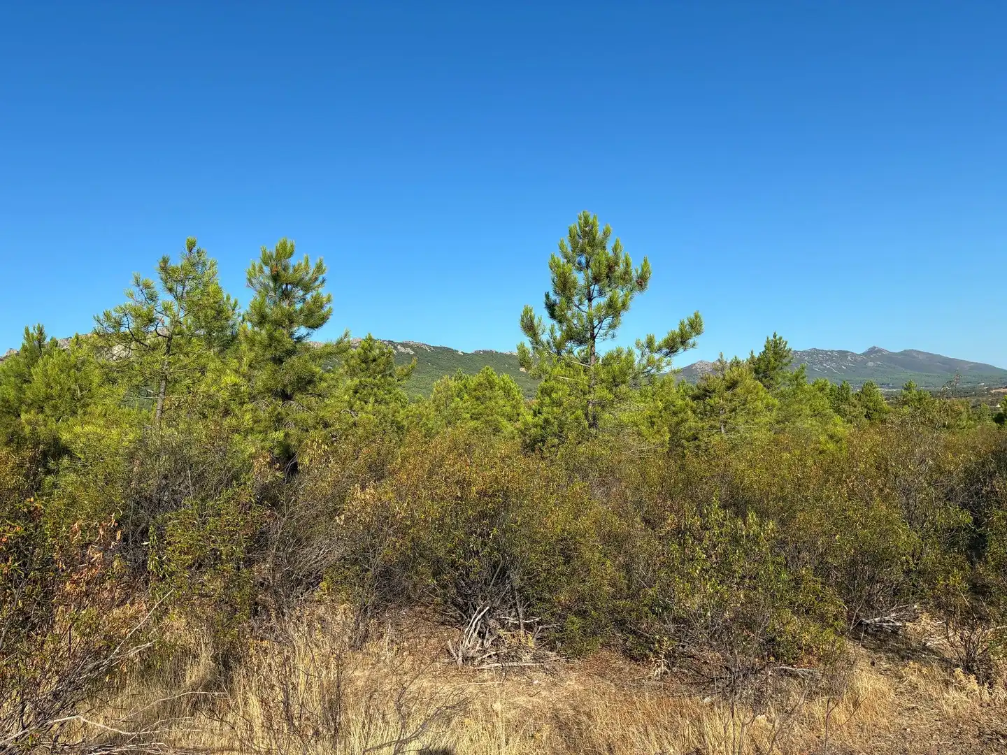 Rural land for sale in Puerto de San Vicente, imagen 7