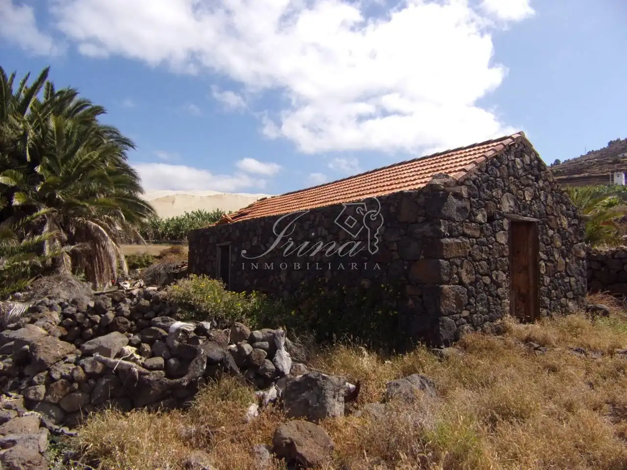 Vista exterior de Finca rústica en venta en Tijarafe