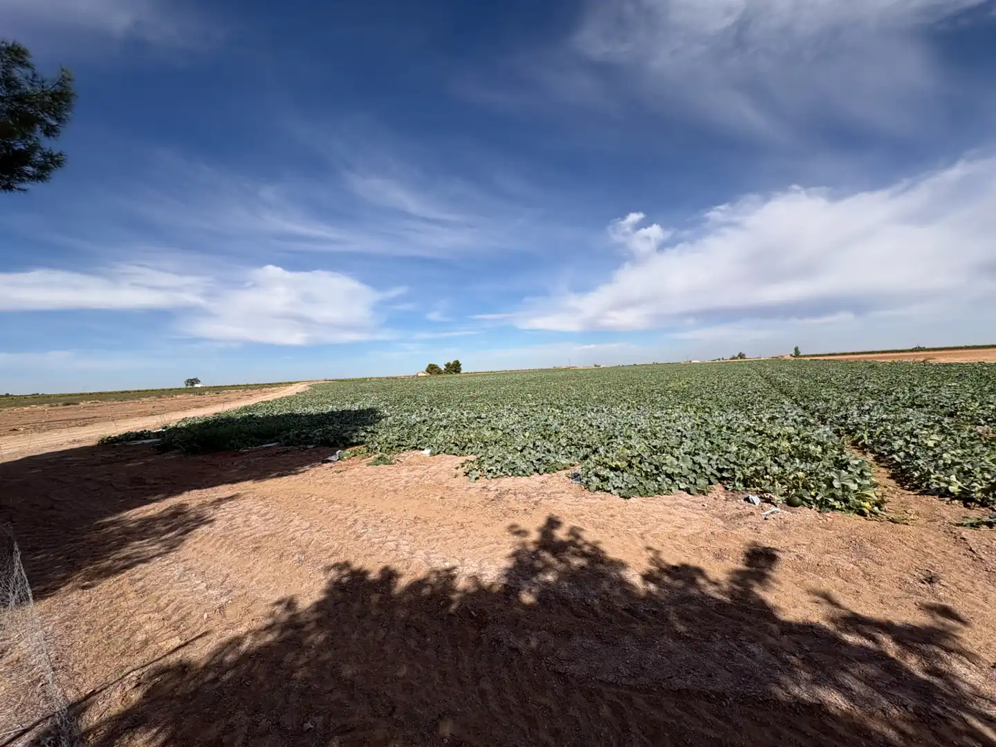 Rural land for sale in CM-400 580, imagen 13