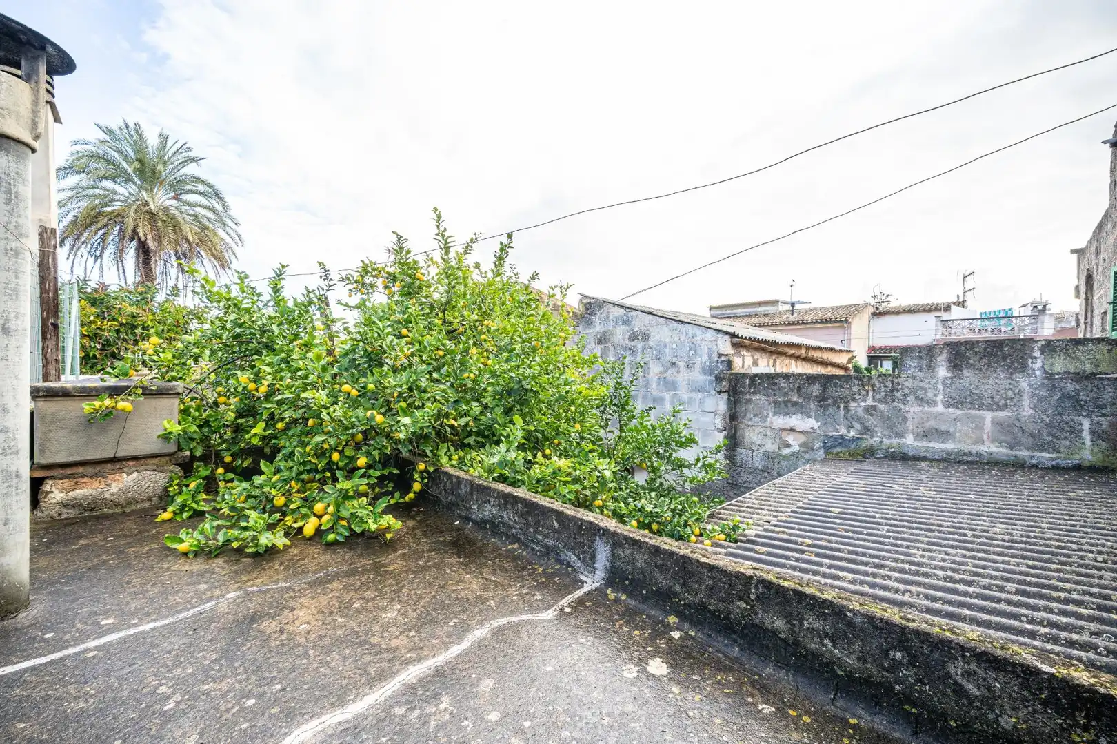 Exterior view of Houses for sale in Manacor