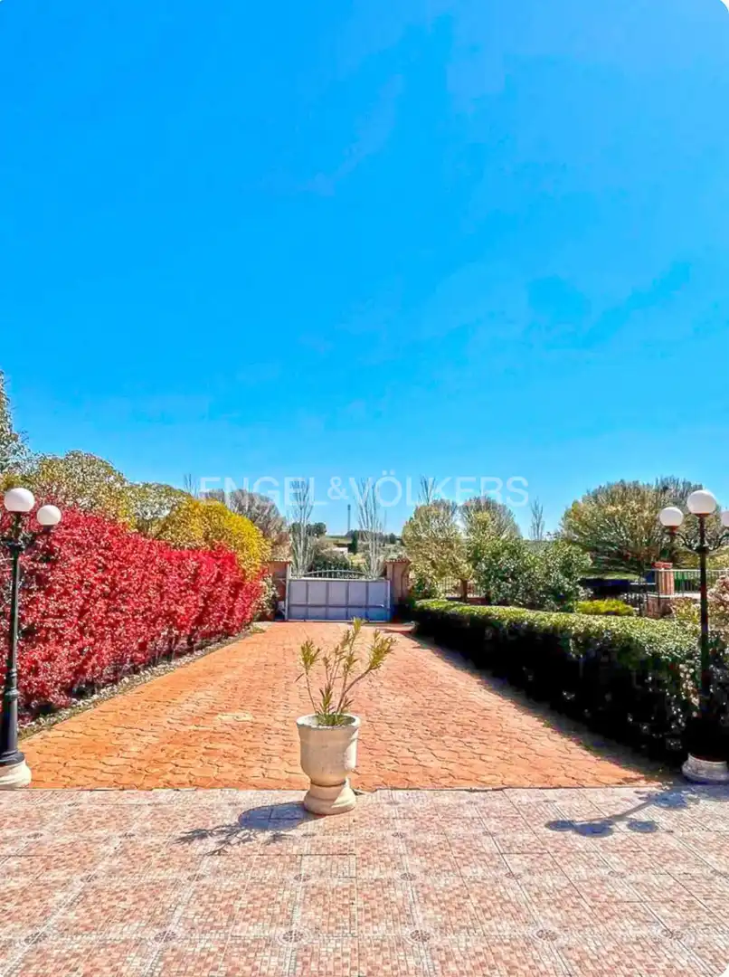 Vista exterior de Casa o chalet en venta en Daimiel con Aire acondicionado, Calefacción y Jardín privado