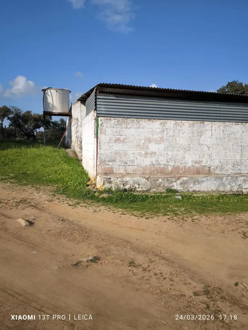 Vista exterior de Residencial en venda en Fuente Obejuna
