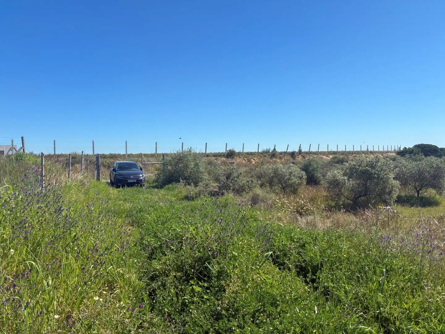 Terreno en venta en Gibraleón