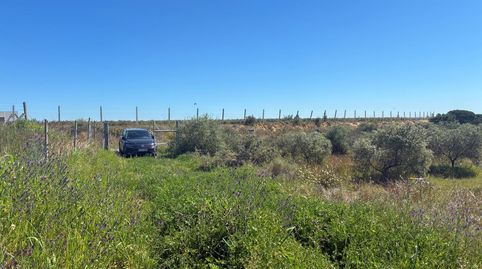 Finca rústica en Gibraleón, immagine 3