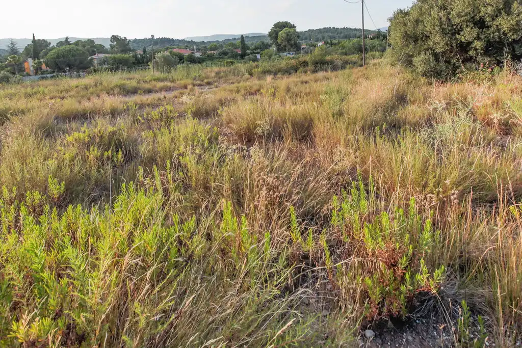 Terrain rustique à vendre à Plan Parcial Masíes Catalanes, imagen 19