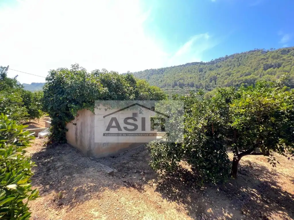 Casa o xalet en venda en Alzira