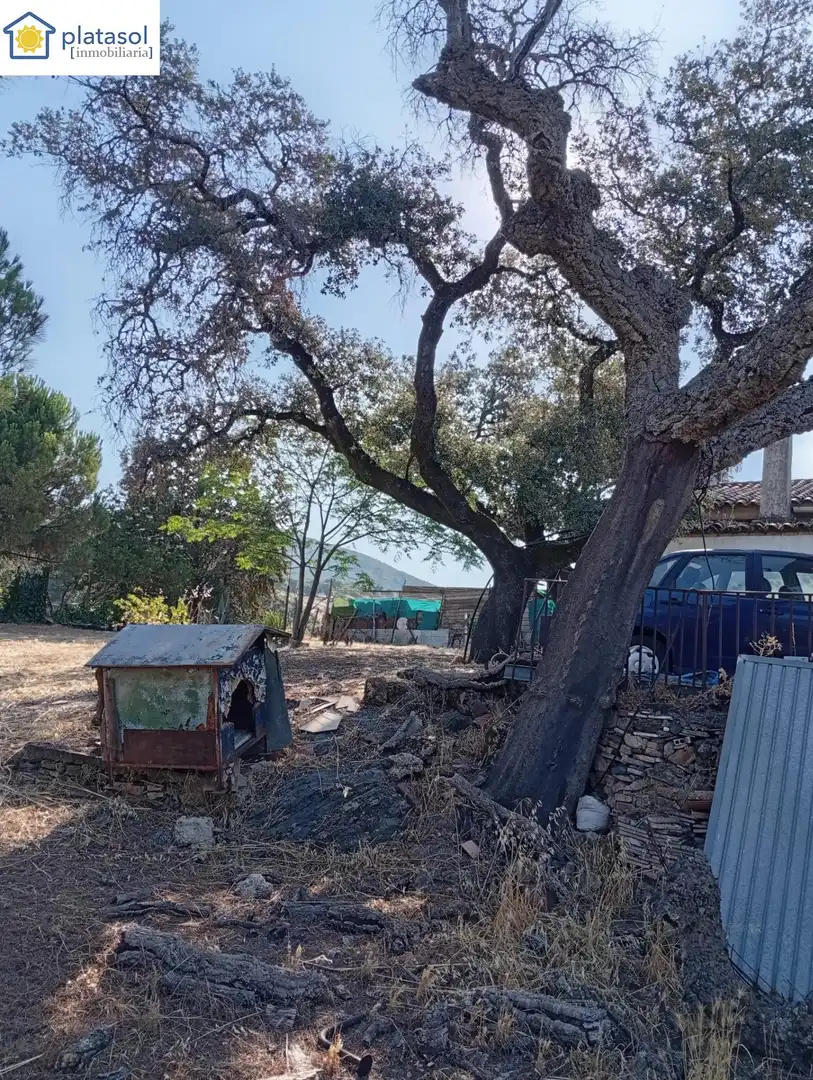 Finca rústica en venda en Higuera de la Sierra