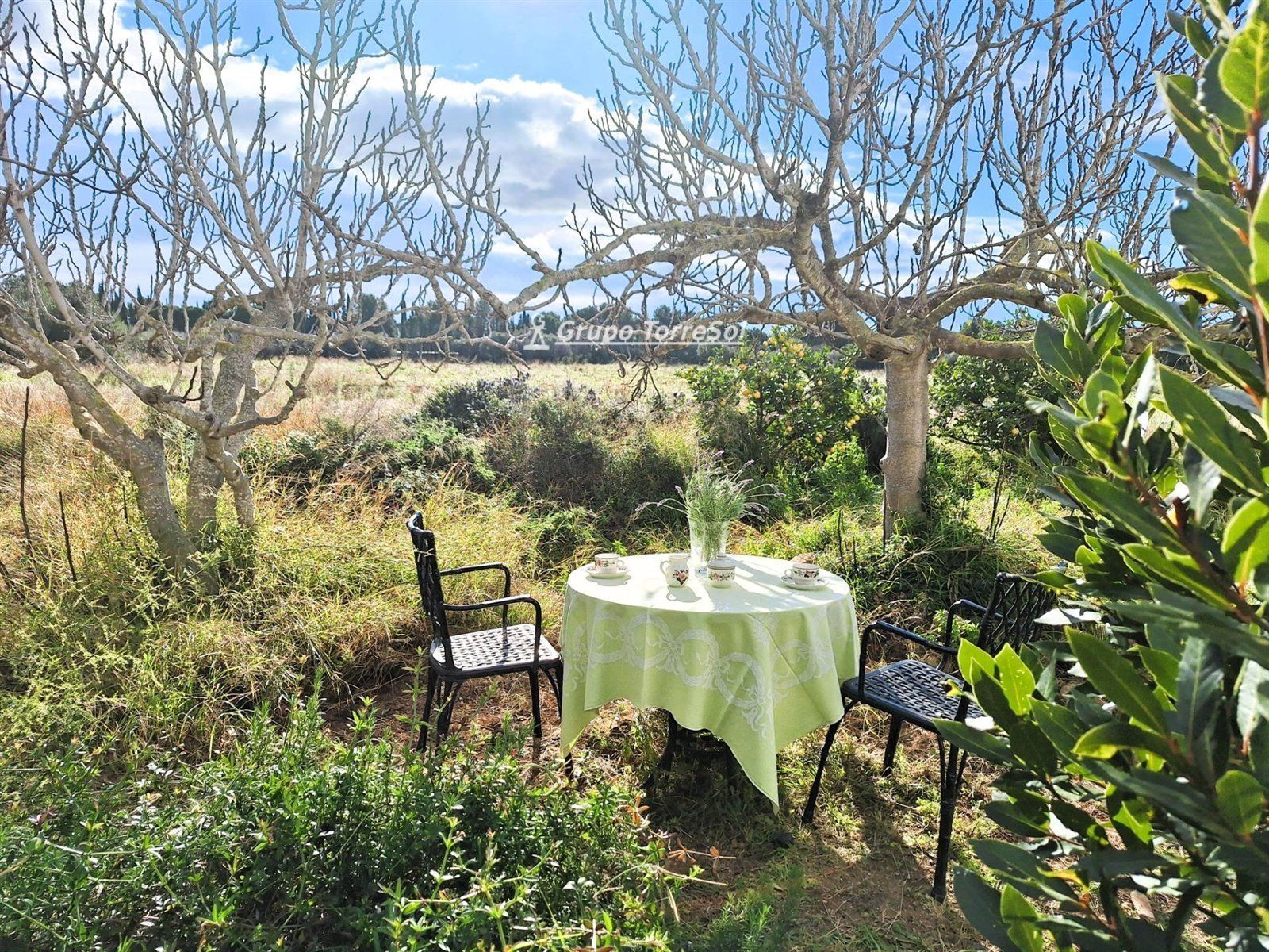 Garden of House or chalet for sale in El Vendrell  with Terrace, Storage room and Furnished