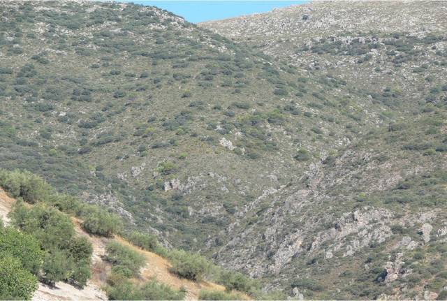 Finca rústica en Venta en N/A en Las Jaras