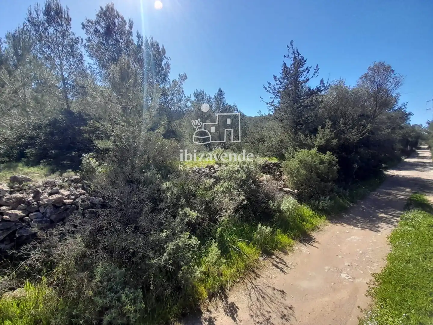 Terreny rústic en venda a es Pujolet, imagen 7