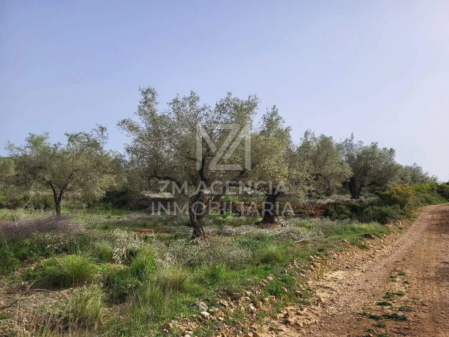 Terreno rustico in vendita a Corral de la Culla, imagen 19