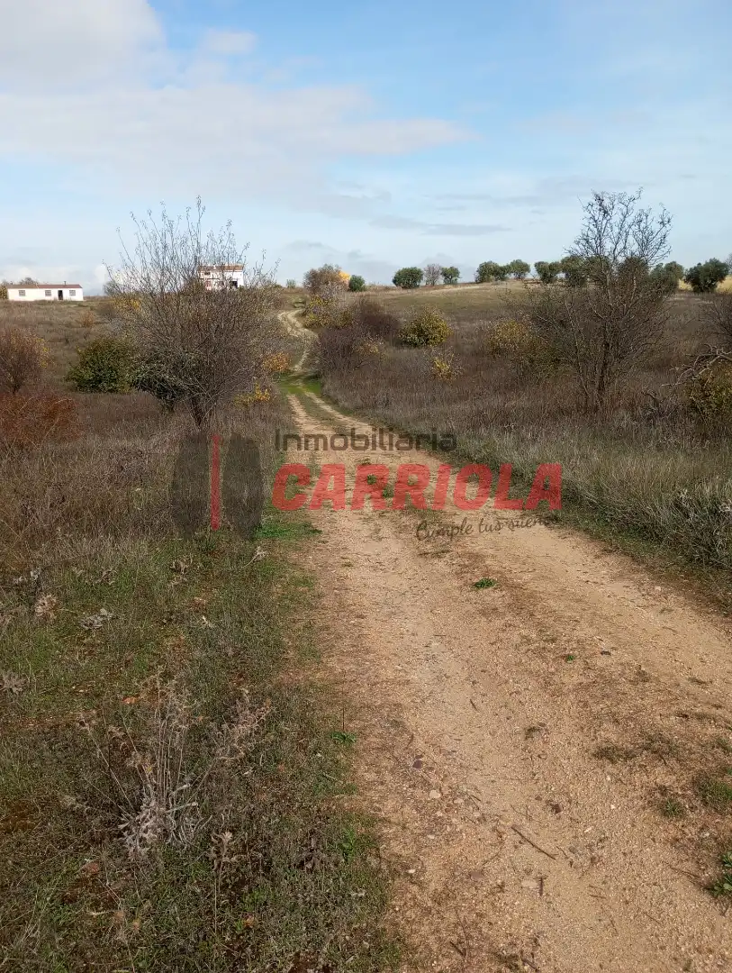 Casa rústica en venta en Los Cerralbos, imagen 32