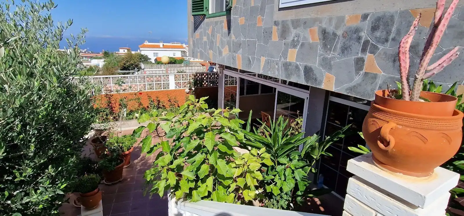 Jardín de Casa o chalet en venta en Firgas con Jardín privado, Piscina y Amueblado