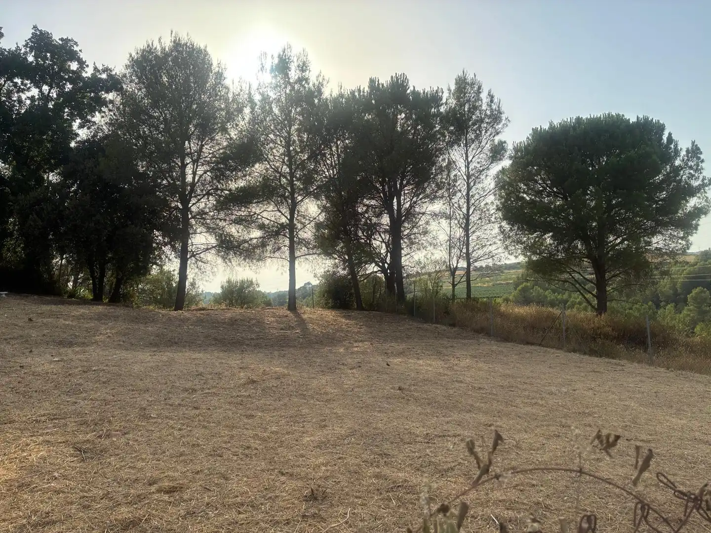 Terreny residencial en venda a Masquefa