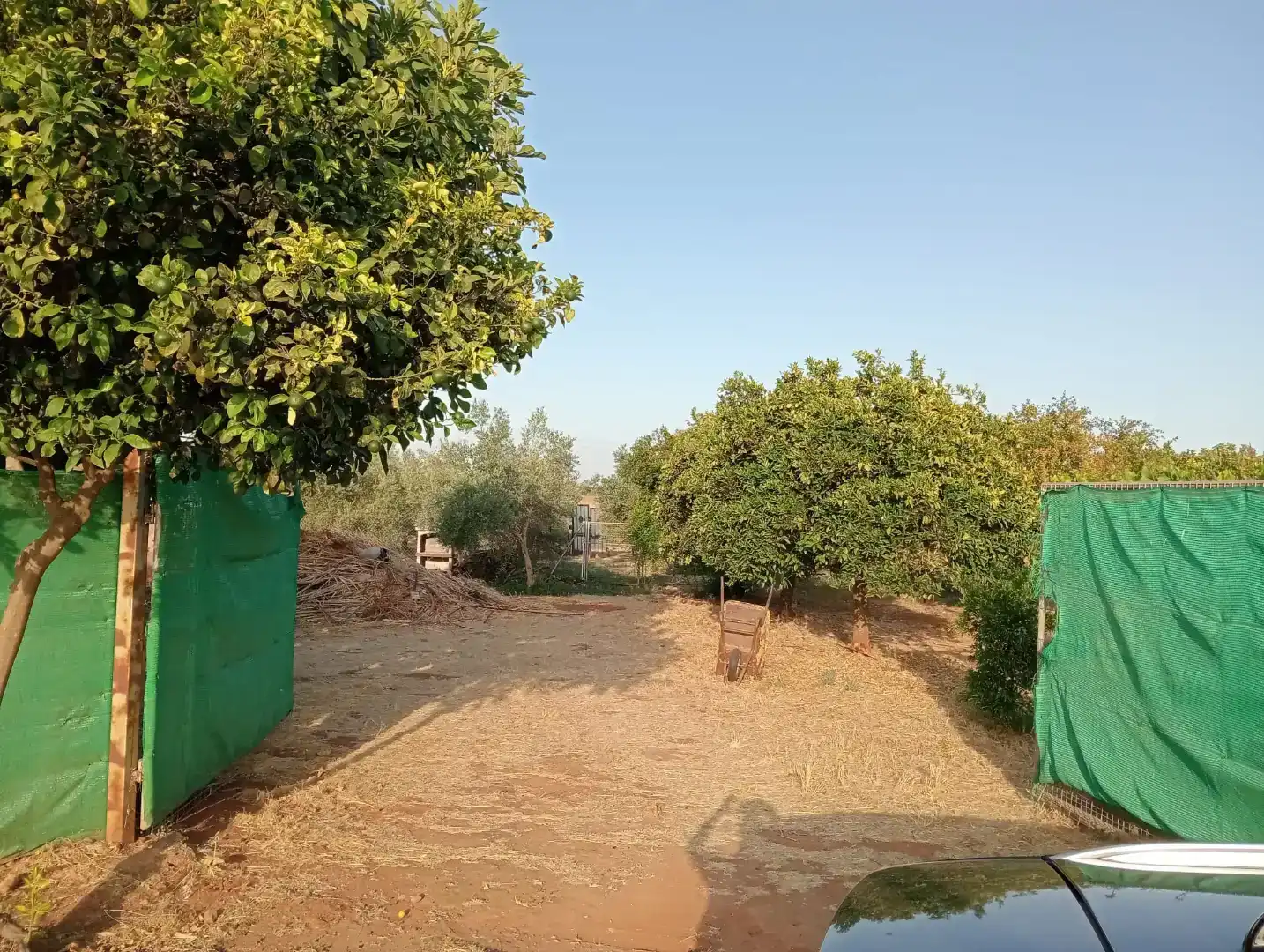Casa o chalet en venta en Guadalcázar