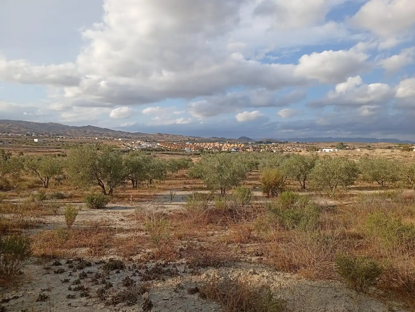 Terrenys i solars en venda a Los Gallardos, imagen 27