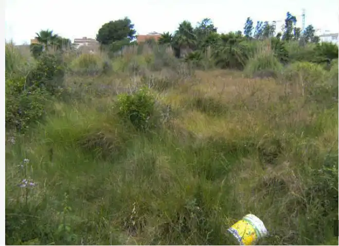 Rural land for sale in Sueca ciudad, imagen 5