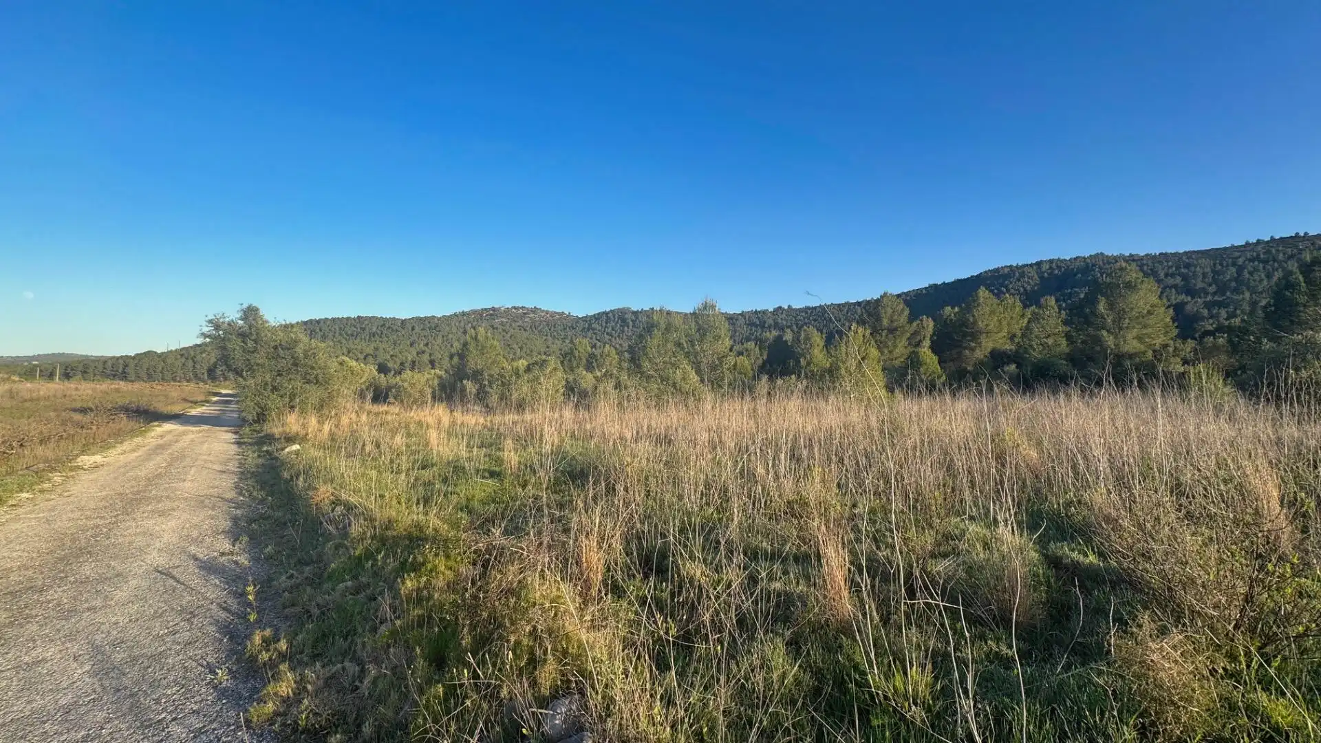 Terrenys i solars en venda a Xaló